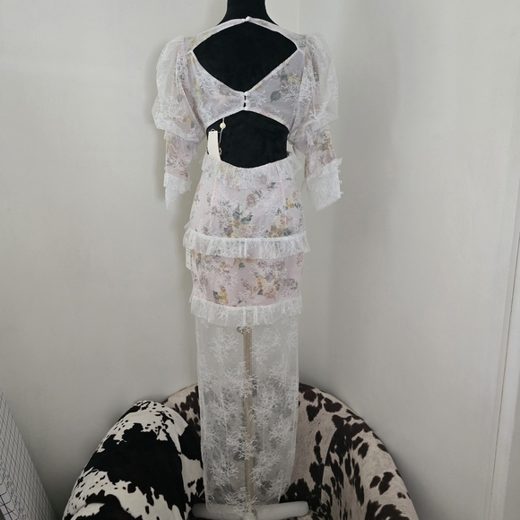 FOR LOVE & LEMONS Pearl Maxi Dress in Blush - Picture 4 of 16